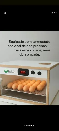 Chocadeira elétrica 