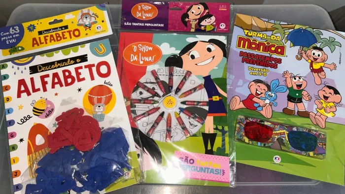 Lote livros infantis brinquedos 10 unidades