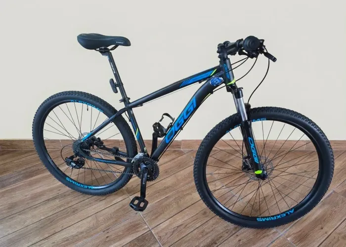 Bicicleta OGGI Hacker HDS
