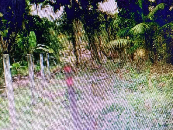 Chácara sem casa só o terreno tudo perto vila de moradores estou vendendo por motivo de s