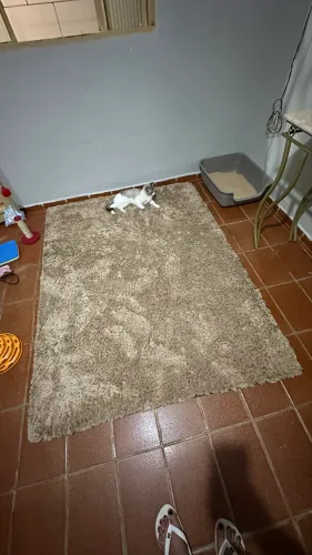 Tapete peludo grande
