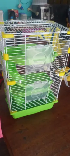Casa para hamster