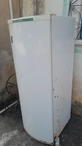 Consul palito