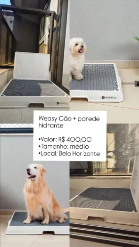 Weasy Cão + parede hidrante