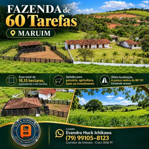 FAZENDA de 60 Tarefas MARUIM