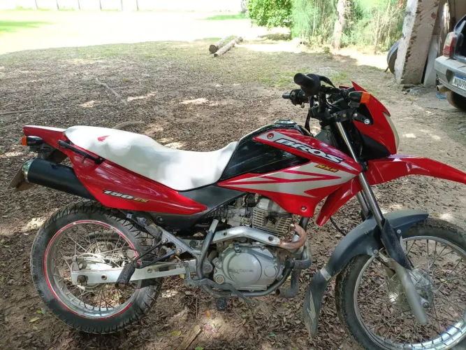 Dut transferência 