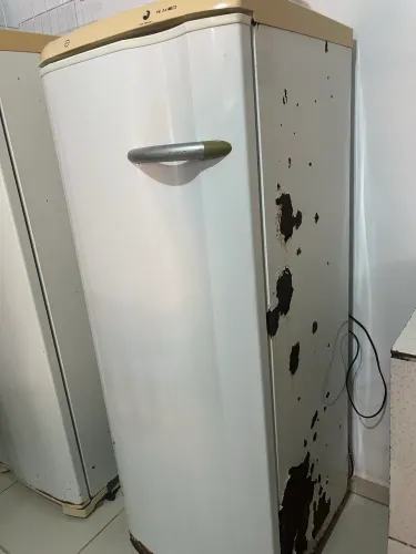 Freezer Electrolux