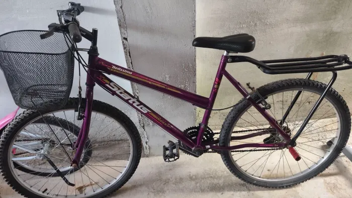 Bicicleta com garupa e cestinha
