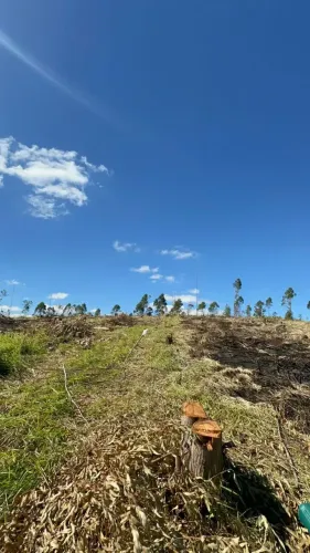 Terreno 500m² em Ibiúna Condomínio Fechado Bairro Colégio
