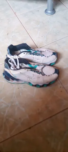 Vendo esse Mizuno wave prophecy 11