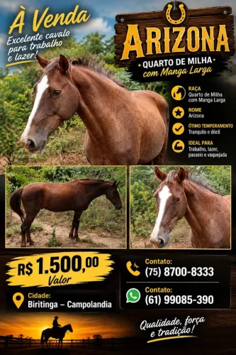 Cavalo