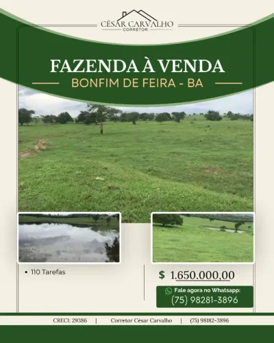 FAZENDA EM BONFIM DE FEIRA - 110 TAREFAS