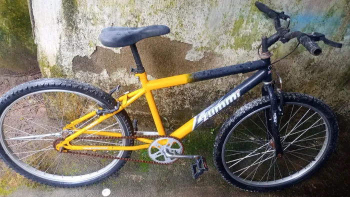 Bicicleta