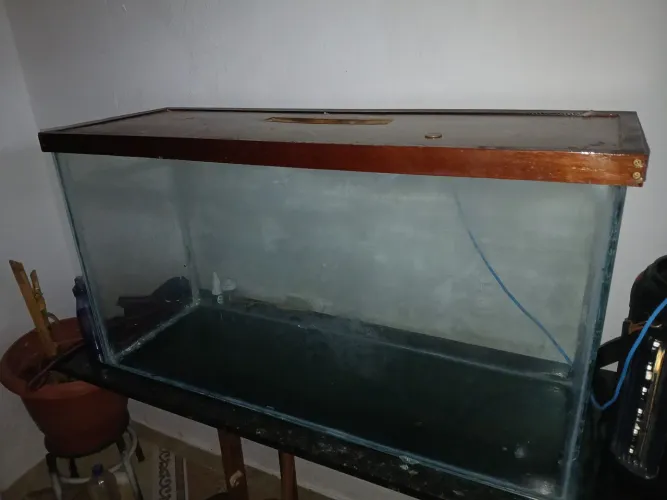 Aquário 