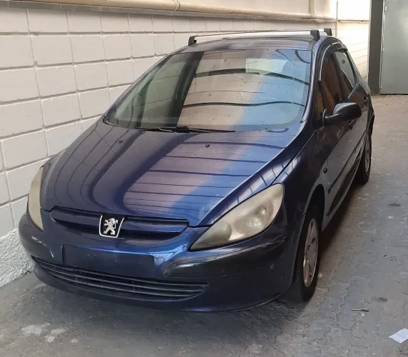 Peugeot 307 Soleil/ Presence 1.6/1.6 Flex 16V 5P 2002