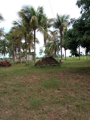 Fazenda no Capão Verde MT