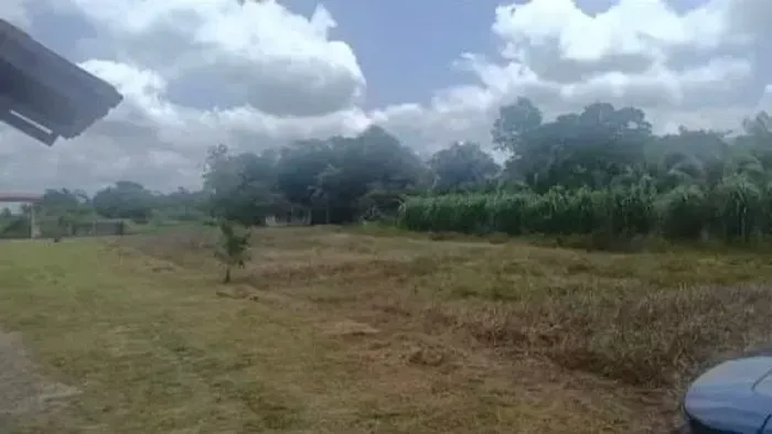 Terreno Amplo com Casa e Igarapé no Fundo - Localização Tranquila!