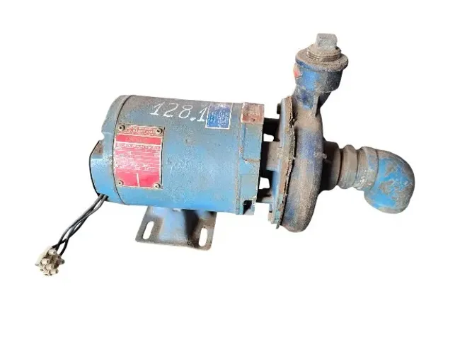 Motor bomba DARKA 3/4 CV