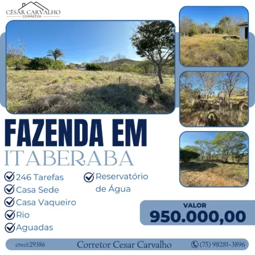 FAZENDA EM ITABERABA - 246 TAREFAS