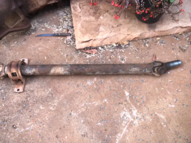 Cardam bipartido Opala 6cc