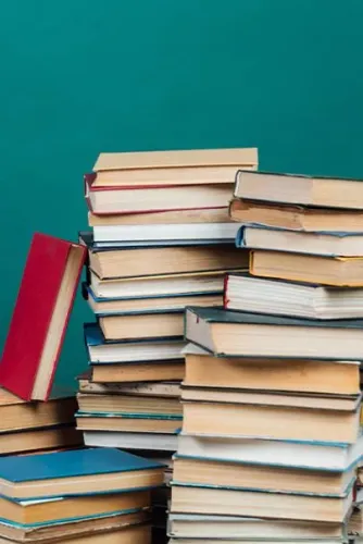 SEBOS Lote de livros diversos - Ótimo estado!