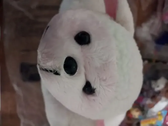 Ovelha/travesseiro da Bauducco