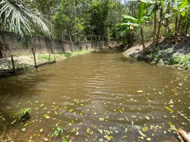 Maravilhoso Sítio de 10.000m2 a 30 minutos de Recife-PE Casa com 2 Qts, Riacho e Tudo Mais