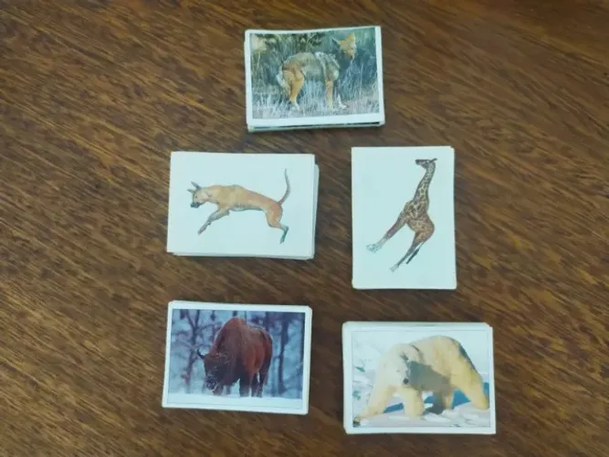 Figurinhas Animais Selvagens
