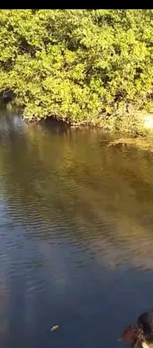 Sitio 4,2 Alqueires Entre Montes claros e Jequitaí... água de nascente!!!