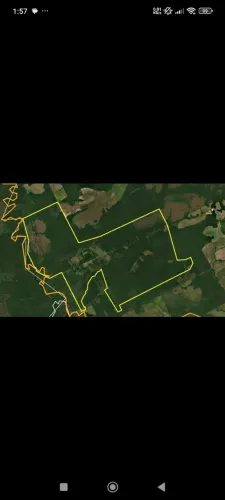 Fazenda 33.000 hec as margens do rio Guaporé MT. 5 mil hec abertos