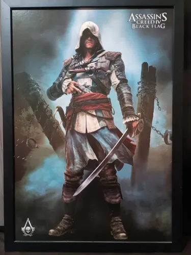 Quadro Assassin's Creed IV: Black Flag