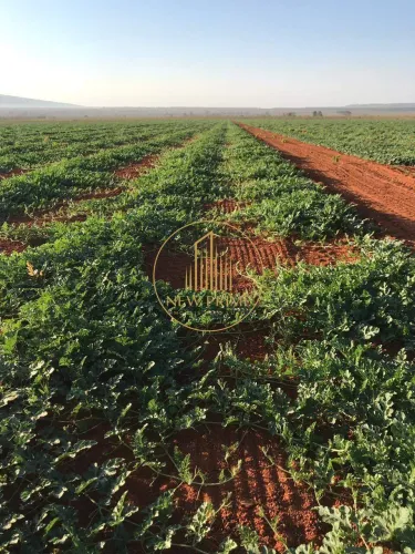 Fazenda à venda, 20 quartos, 2 suítes, Zona Rural - Corinto/MG