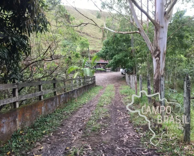 Sítio formado em São Francisco Xavier! Casa boa, curral e pasto formado.