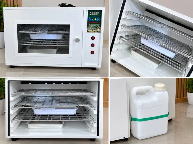 Chocadeira Automática