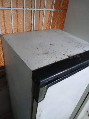 Vendo frazer máquina de salgados industrial e mais algumas coisas