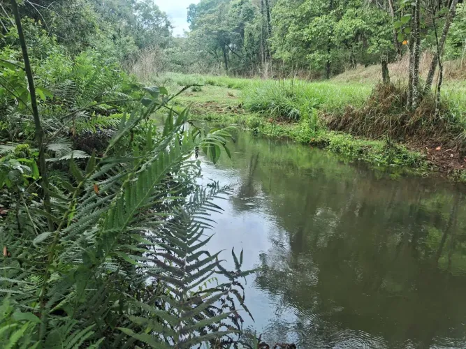 Terreno 10,5 hectares as margens do córrego do Riacho 