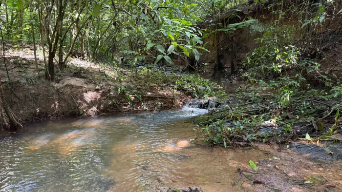Chácara de 4.500mt em Cristianopolis com córrego no fundo e muita natureza!