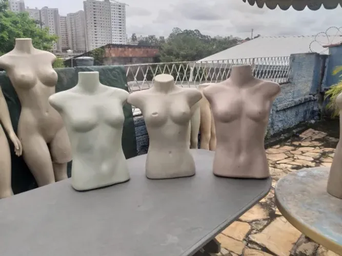 Tudo para loja, manequins, cabides, provador, sleds e outras coisas.