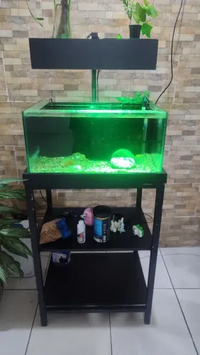 Aquário com sump traseiro