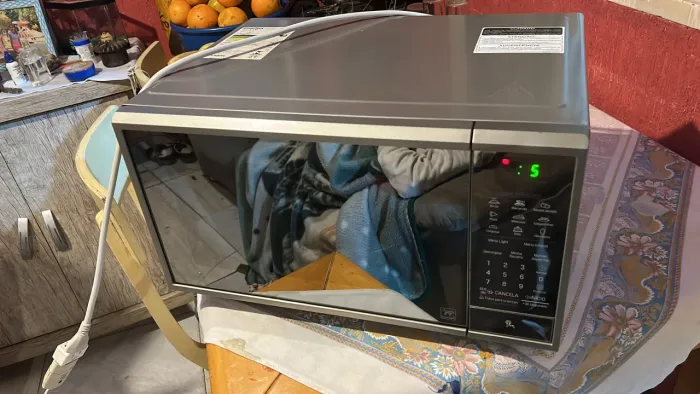 Microondas LG Seminovo 30L 127v