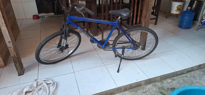 Bicicleta