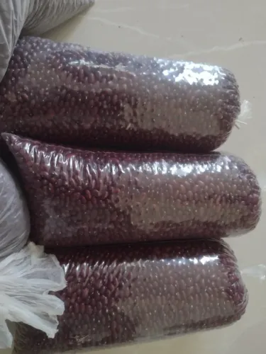 Feijão vermelho novo, limpo sem agrotóxico