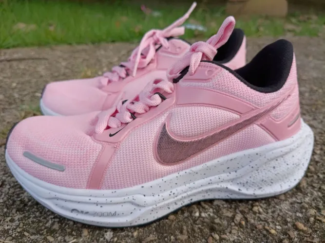 Nike Pegasus41