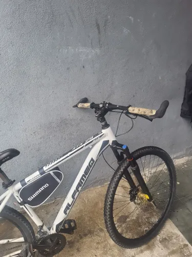 Bicicleta 29