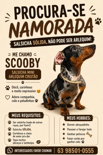 PROCURA-SE NAMORADA