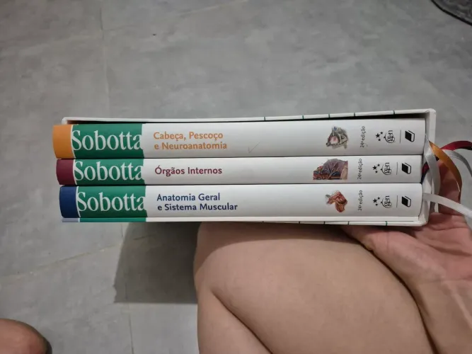 Box sobotta