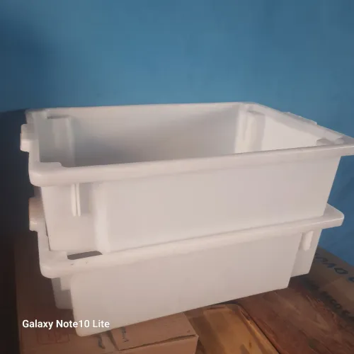 Caixas Bandeja frigorífica