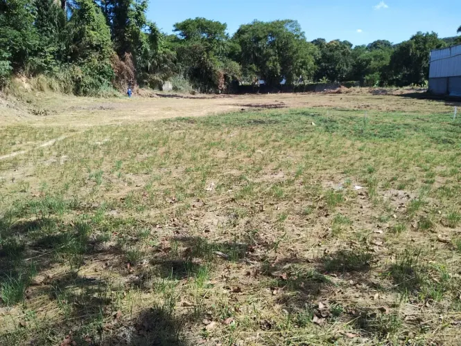 Terreno + Escritório - Jardim Primavera - 8.000 m2 - Cód. 1688