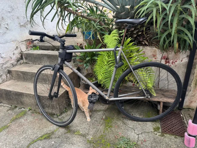 Bicicleta fixa República