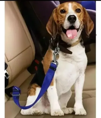 Cinto de segurança para Pet
